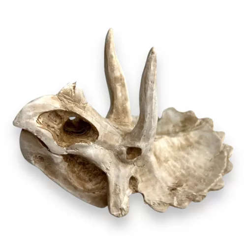 Dekor triceratops koponya 15,5 x 11,5 x 11 cm