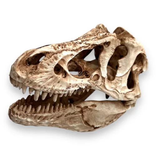 Dekor T-Rex koponya 14 x 7,5 x 9 cm