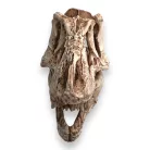 Dekor T-Rex koponya 14 x 7,5 x 9 cm