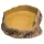 Repti Planet etető tál 100x155x30mm
