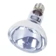 Repti Zoo Day Light izzó 150W B95150 [60]
