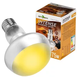 Repti Zoo Intense Basking Spot izzó 75W FCB75 [96]