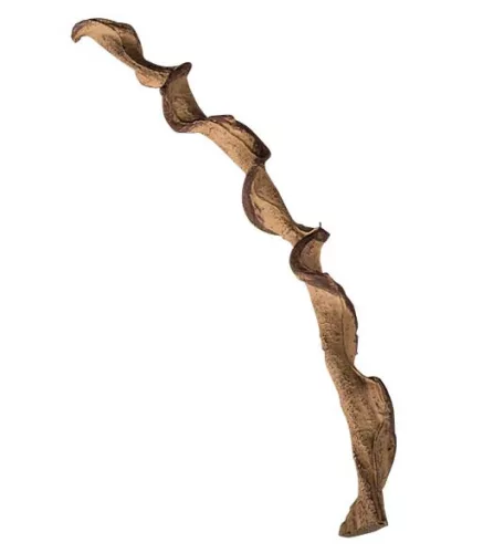 Repti Zoo dekor csavart fa 60cm RV0360