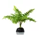 Repti Zoo műnövény talpas 15cm TP015 [80]