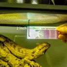 Repti Zoo UVB-fénymérő lap