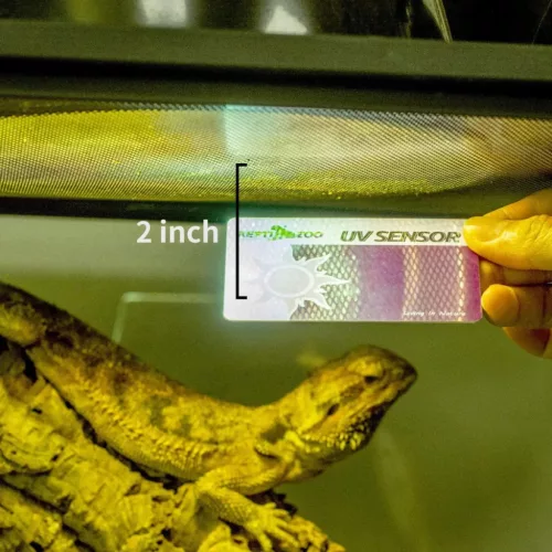 Repti Zoo UVB-fénymérő lap