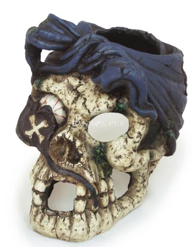 Dekor PSK104 koponya Charles nagy