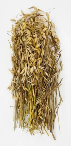 Trópus fürtös zab 60g