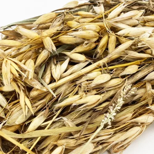 Trópus fürtös zab 60g