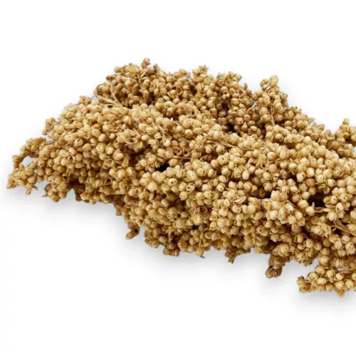 Trópus fürtös fehér cirok 130g