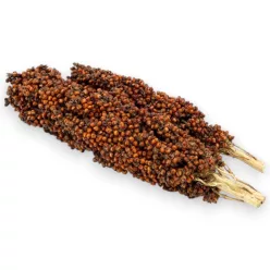 Trópus fürtös vörös cirok 130g