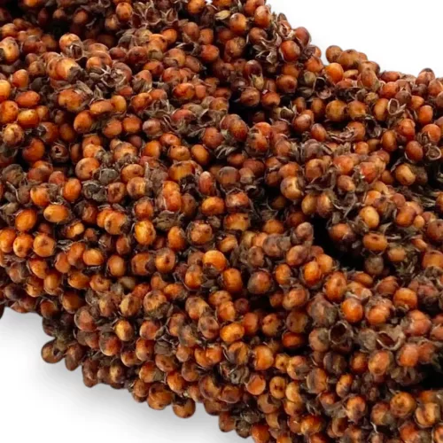 Trópus fürtös vörös cirok 130g