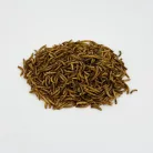 Trópus lisztkukac 50g