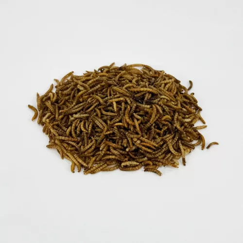 Trópus lisztkukac 50g