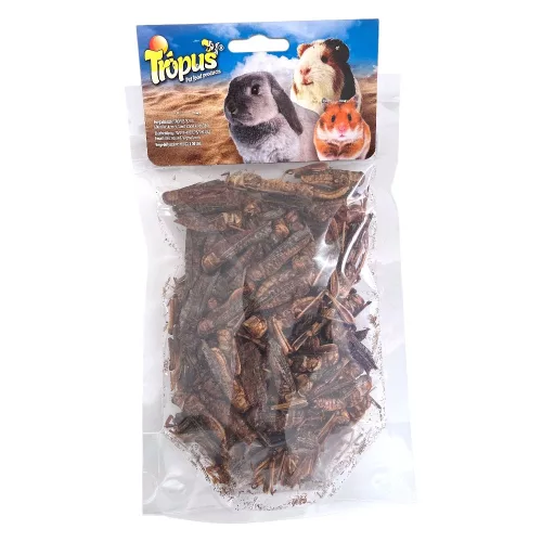 Trópus szárított szöcske 40g