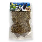 Trópus katonalégy lárva 50g