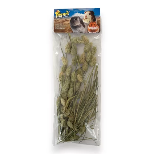 Trópus DP szálas fénymag 14g