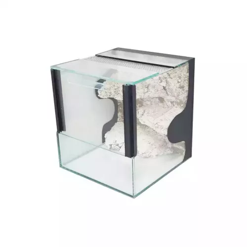 Terrárium póknak háttérrel 20x20x20cm 8L (TP)