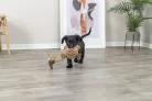 Trixie játék plüss keselyű Gustav 24cm