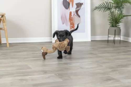 Trixie játék plüss keselyű Gustav 24cm