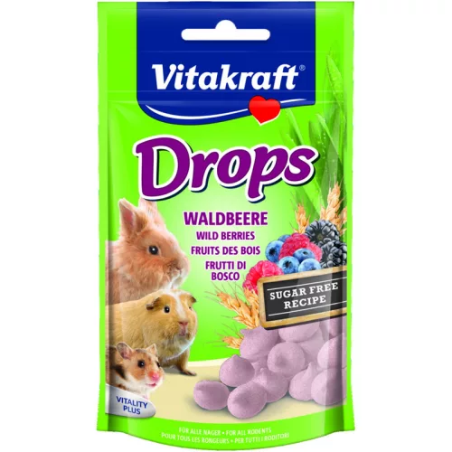 Vitakraft Drops rágcsálóknak erdei gyümölcsös 75g