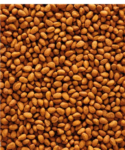 Versele-Laga NutriBird G14 Original extrudált pellet eledel nagypapagájoknak 10kg