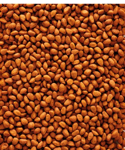 Versele-Laga NutriBird G18 Original extrudált pellet tenyésztáp nagypapagájoknak 10kg