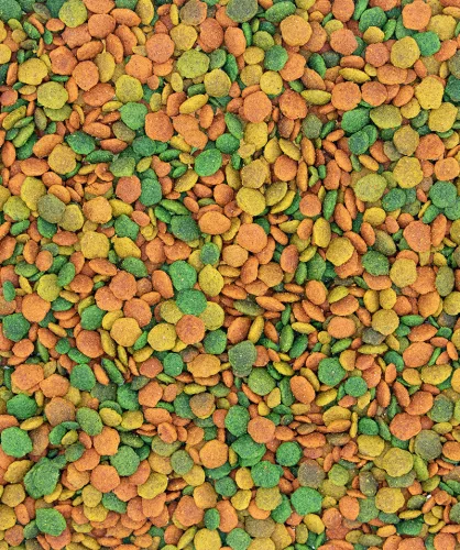 Versele-Laga NutriBird G18 Tropical extrudált pellet tenyésztáp nagypapagájoknak 10 kg