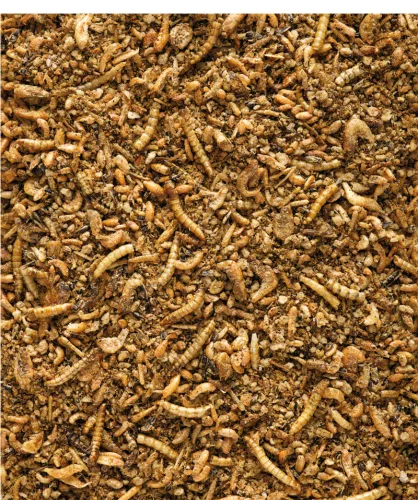 Versele-Laga NutriBird Insect Patee Premium eledel rovarevő madaraknak 500g