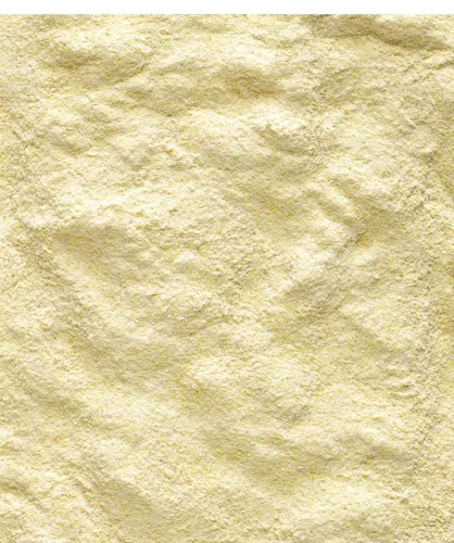 Versele-Laga NutriBird A18 Lori kézzel nevelő 800g