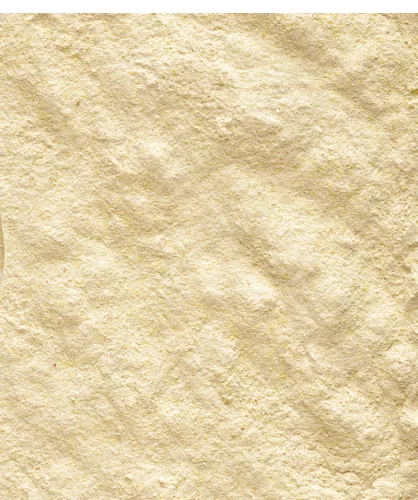 Versele-Laga NutriBird Handmix kézzel nevelő madaraknak 500g