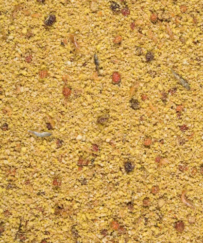 Versele-Laga NutriBird Gold Patee Big Parakeets & Parrots lágyeleség nagy és óriáspapagájoknak 5kg