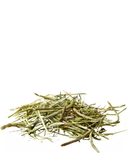 Versele-Laga Nature Timothy Hay Zöld széna 1kg