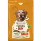 Versele-Laga Happy Life Adult Beef 2,5kg száraz kutyatáp