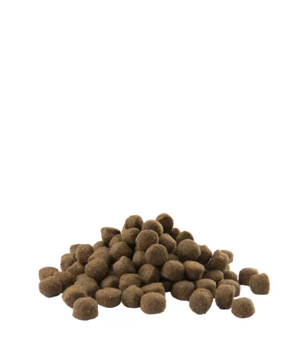 Versele-Laga Opti Life Adult Active All Breeds 12,5kg száraz kutyatáp