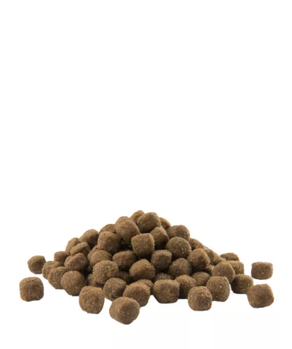 Versele-Laga Opti Life Adult Medium 12,5kg száraz kutyatáp