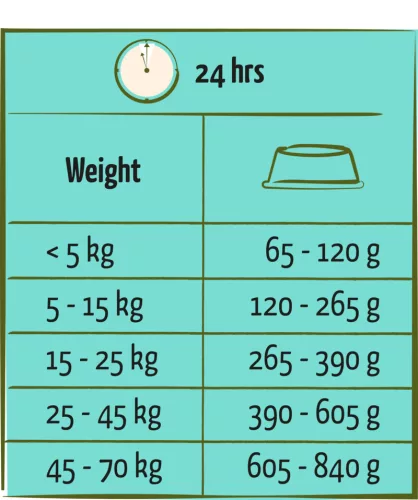 Versele-Laga Happy Life Adult Salmon 12,5kg száraz kutyatáp
