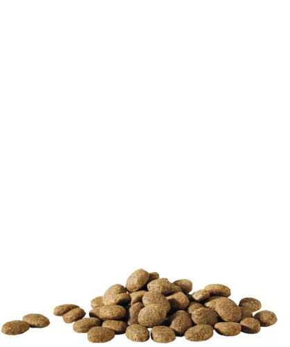 Versele-Laga Happy Life Essential 20+3 kg promo száraz kutyaeledel