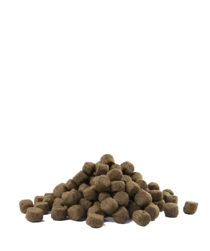 Versele-Laga Opti Life Prime Adult Salmon 2,5kg kutyatáp
