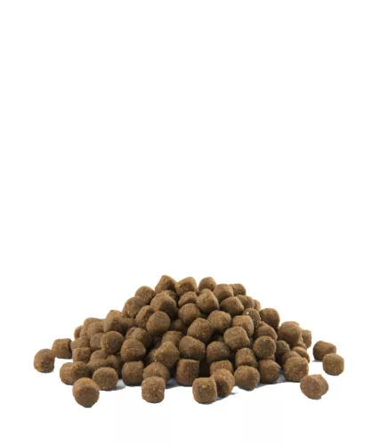 Versele-Laga Opti Life Prime Puppy 12,5kg kutyatáp