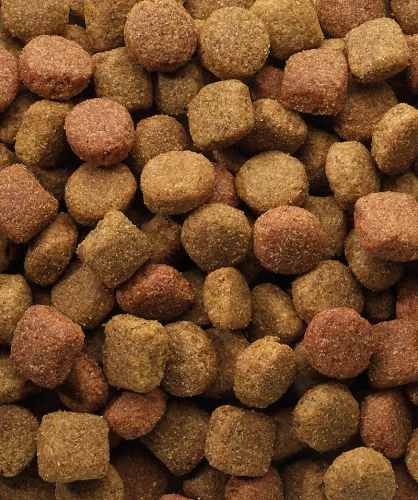 Versele Laga Oké Duo Krok száraz kutyatáp 10kg
