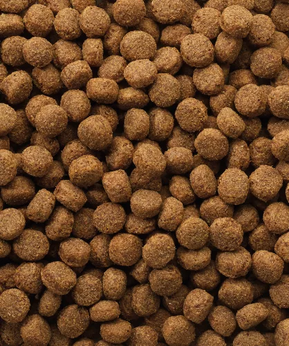 Versele Laga Classic Puppy száraz kutyatáp 10kg