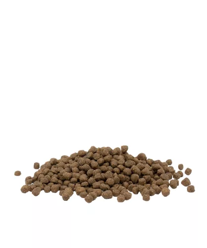 Versele-Laga Opti Life Cat Kitten száraz macskatáp 2,5kg