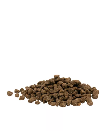 Versele-Laga Opti Life Cat Senior száraz macskatáp 2,5kg