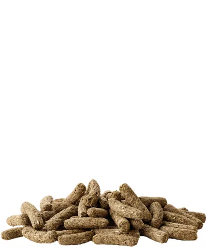 Versele-Laga Complete Cuni Adult törpenyúl eledel 8kg