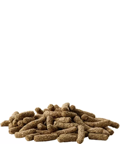 Versele-Laga Complete Cavia tengerimalac eledel 3kg