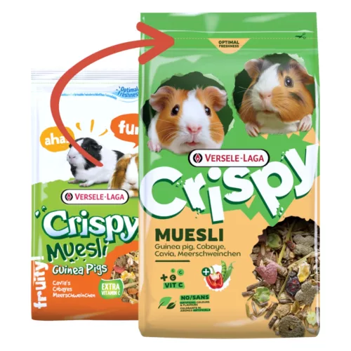 Versele-Laga Crispy Muesli-Guinea Pigs tengerimalac eledel 850g ÚJ