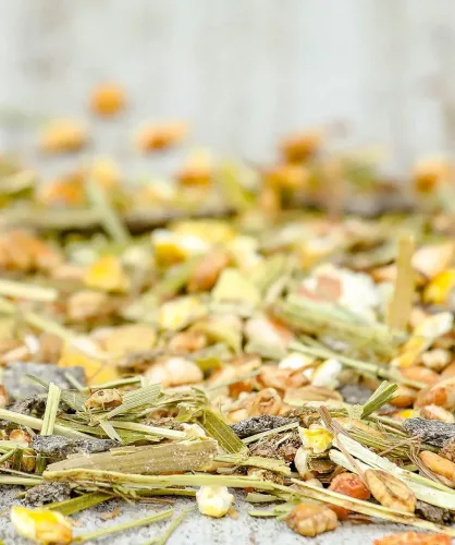 Versele-Laga Cavalor SPECIAL CARE Strucomash Beet lótáp 15kg