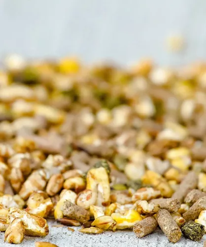 Versele-Laga Cavalor BREEDING Probreed Mix Expert vemhes, szoptató lótáp 20kg