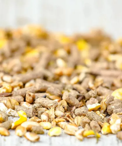 Versele-Laga Cavalor BREEDING Juniorix Expert Fiatal lótáp 1-3 év között 20kg